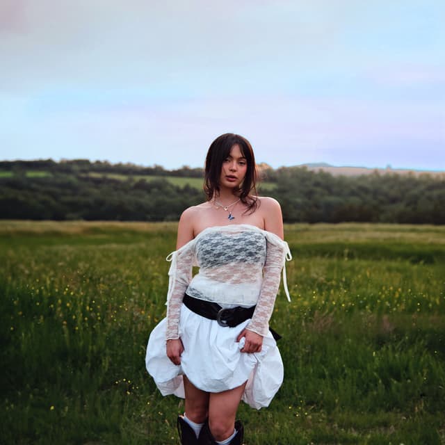 Album cover art for Butterflies