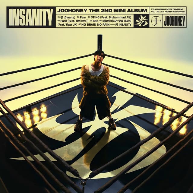 Album cover art for 光 (INSANITY)