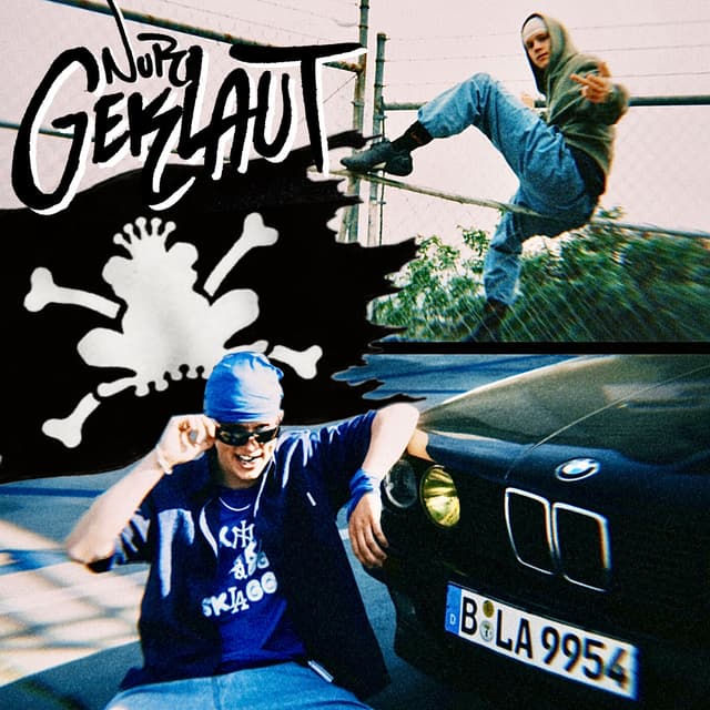 Album cover art for Nur geklaut