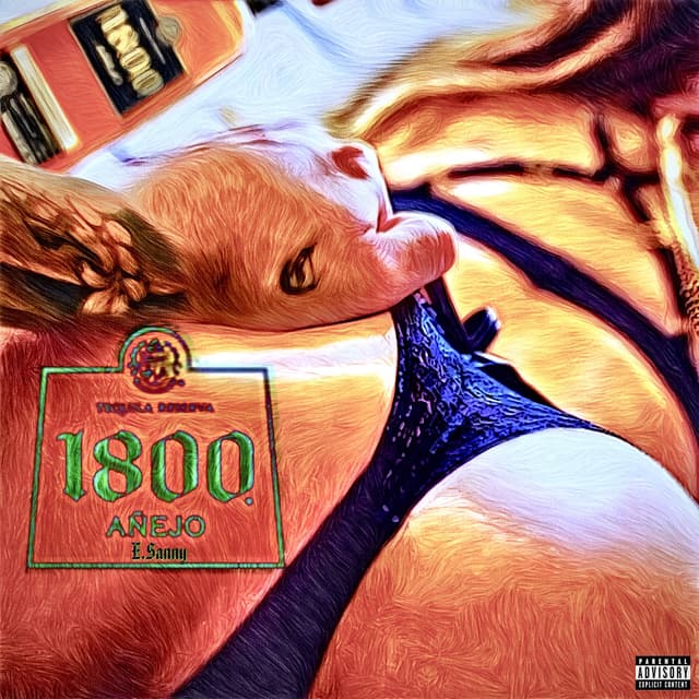 Album cover art for ANEJO