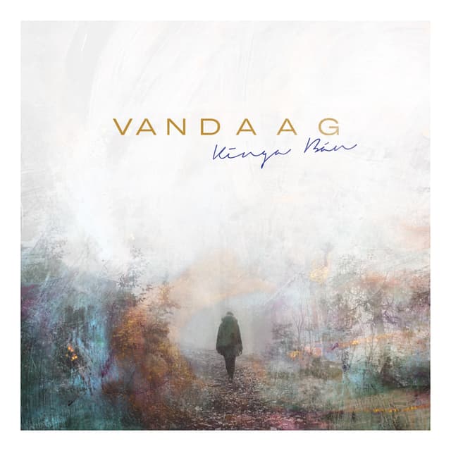 Album cover art for Vandaag