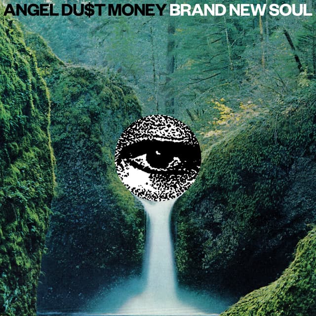 Album cover art for Brand New Soul