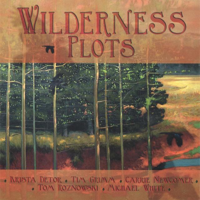 Album cover art for Wilderness Plots