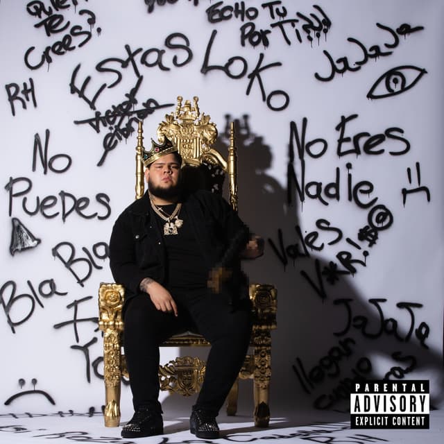 Album cover art for Cargando Piedras