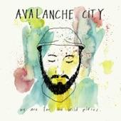 Album cover art for We Are for the Wild Places