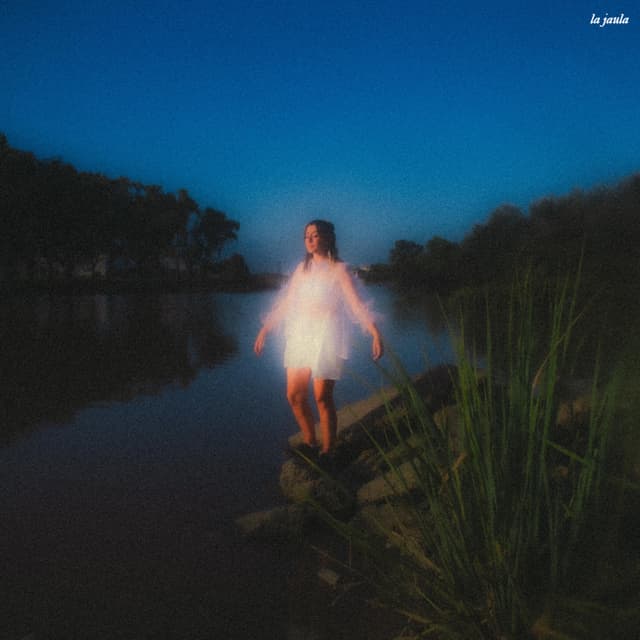 Album cover art for La jaula