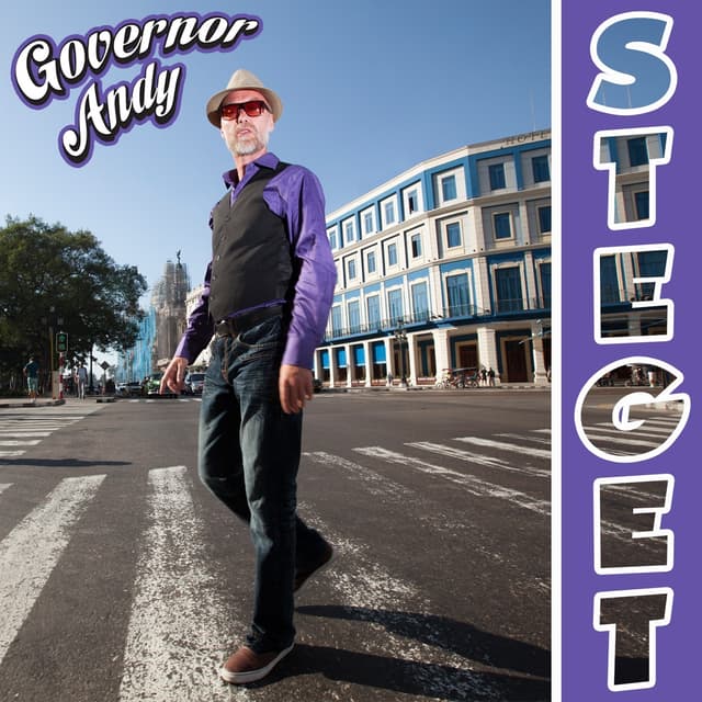 Album cover art for Steget