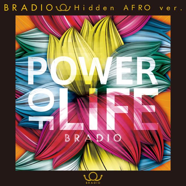 Album cover art for POWER OF LIFE (Instrumental)