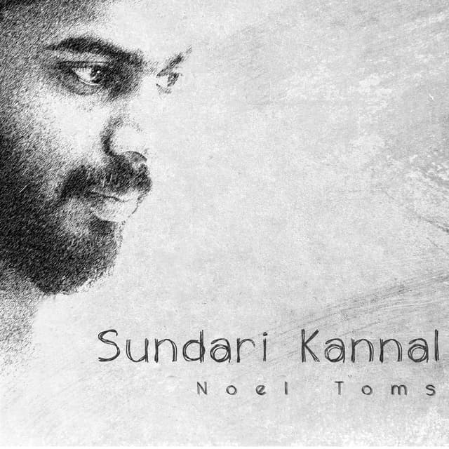 Album cover art for Sundari Kannal