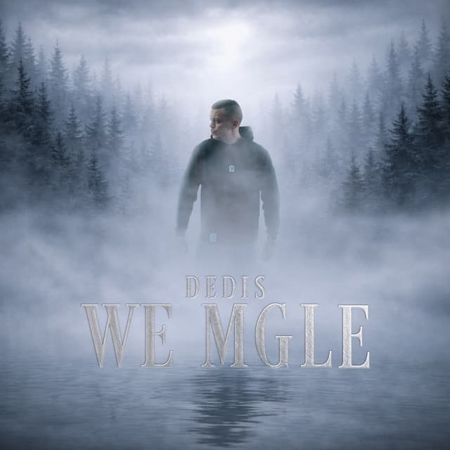 Album cover art for We mgle