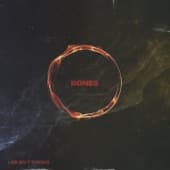 Album cover art for Bones