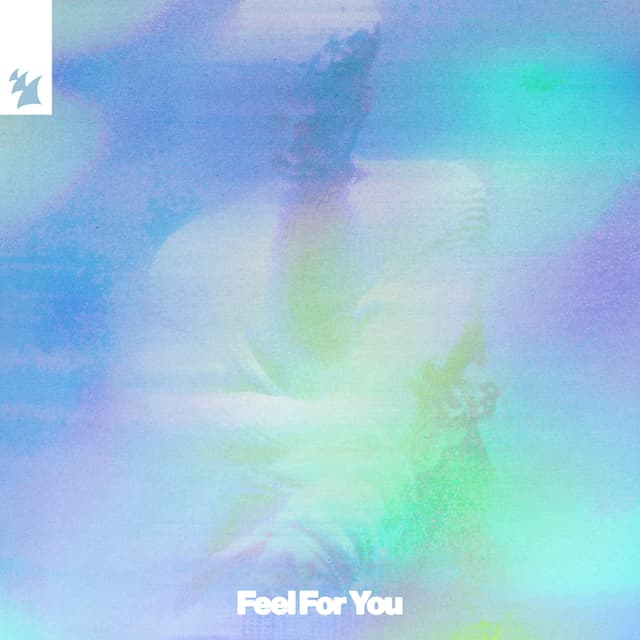 Album cover art for Feel For You