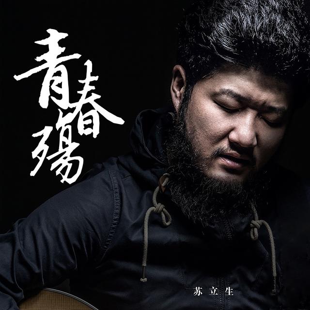 Album cover art for 青春殇