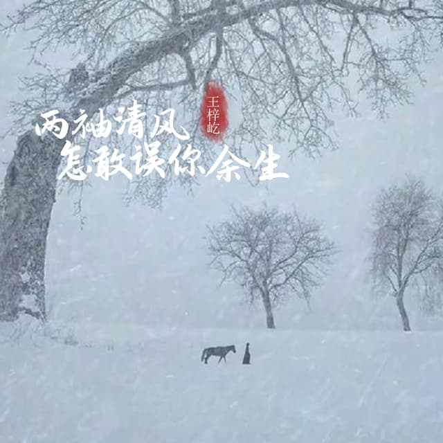 Album cover art for 两袖清风怎敢误你余生