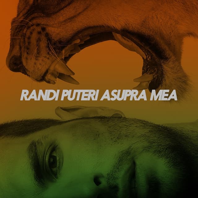 Album cover art for Puteri Asupra Mea