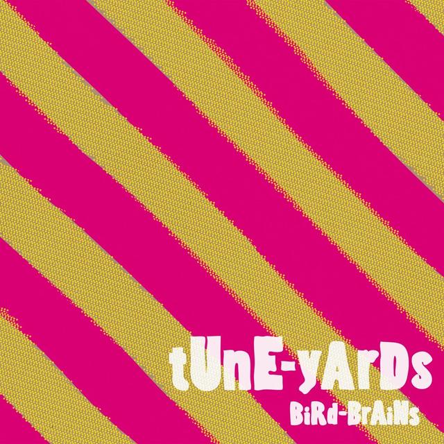 Album cover art for Bird-Brains