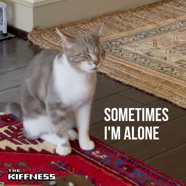 Album cover art for Sometimes I'm Alone (Lonely Cat)