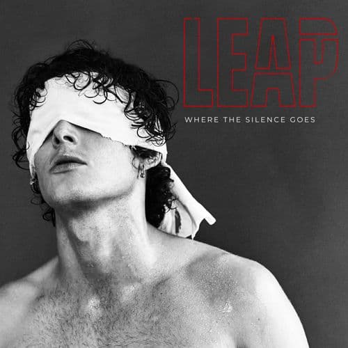 Album cover art for Where the Silence Goes