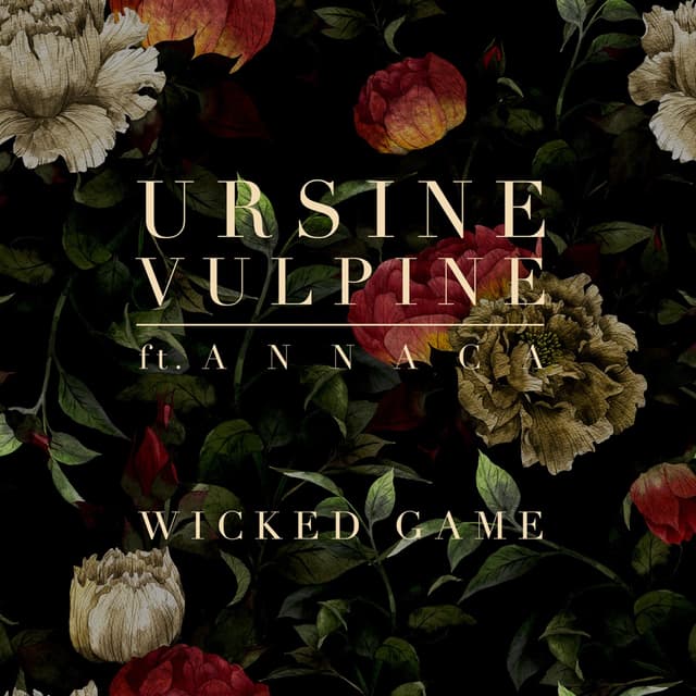 Album cover art for Wicked Game