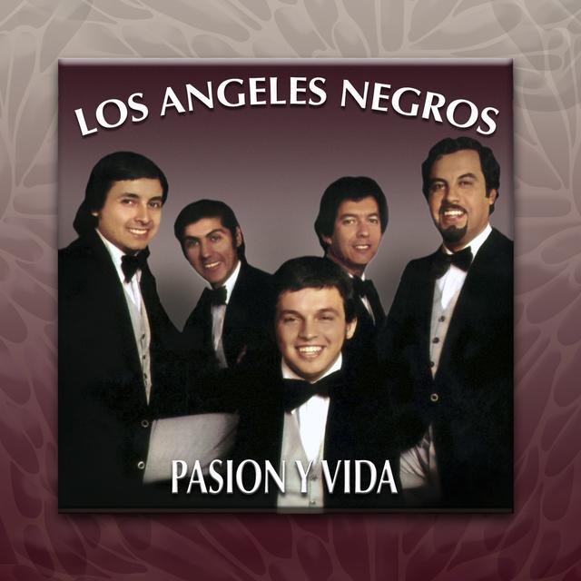 Album cover art for Pasión y Vida