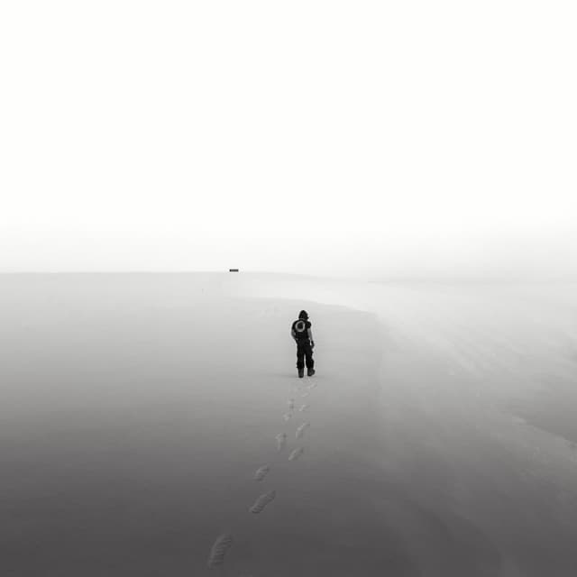 Album cover art for 曠野