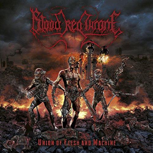Album cover art for Union of Flesh and Machine