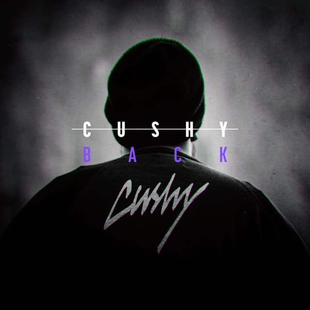 Album cover art for Back