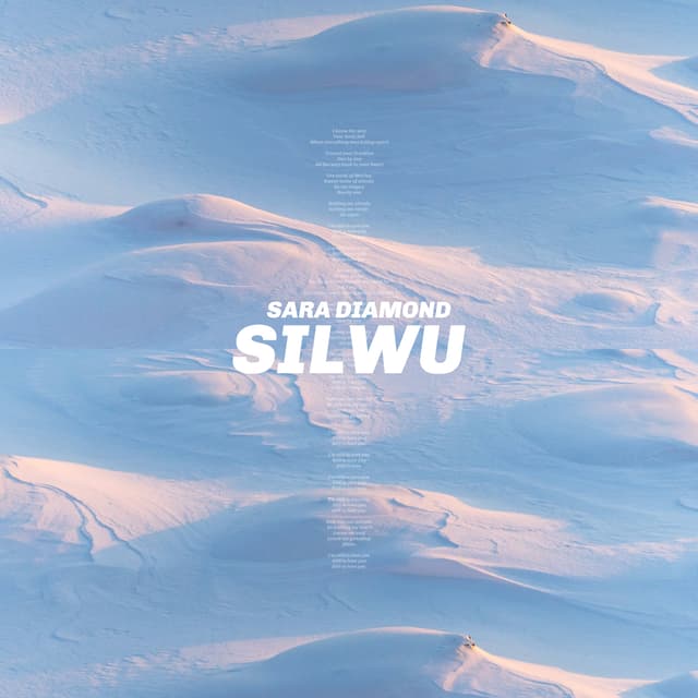 Album cover art for S.I.L.W.U.