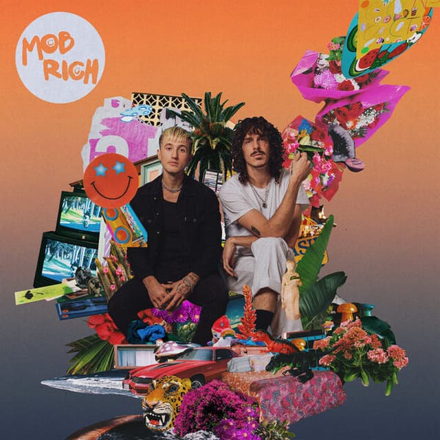 Album cover art for Why No Why