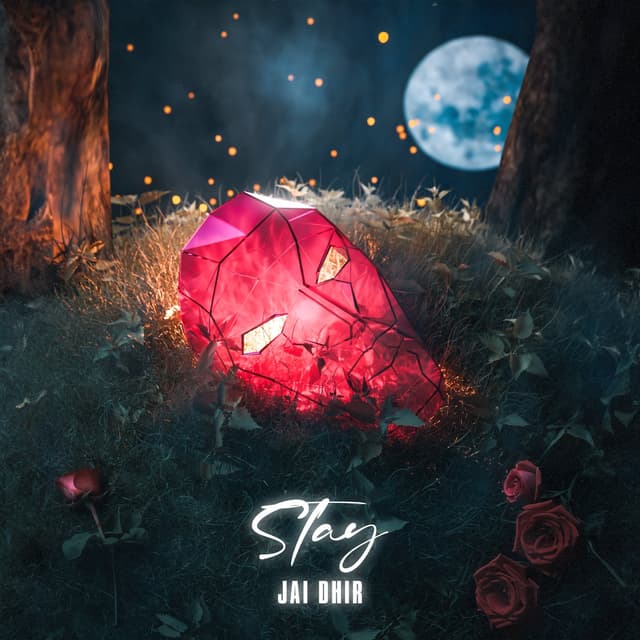 Album cover art for Stay