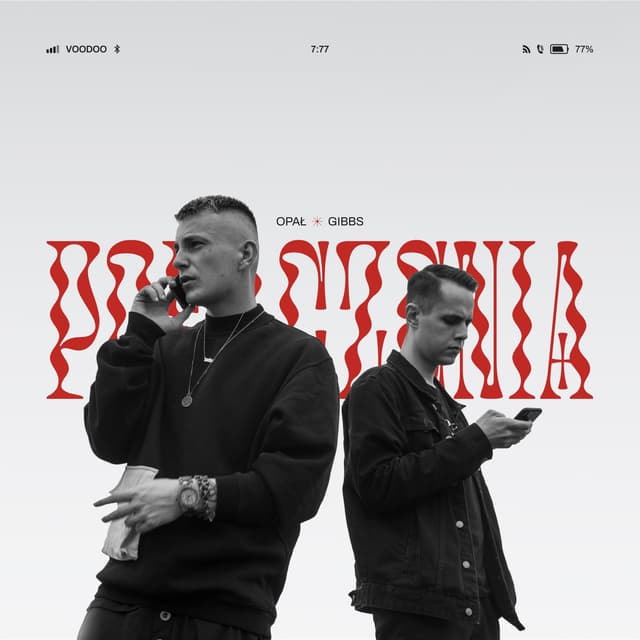 Album cover art for Połączenia