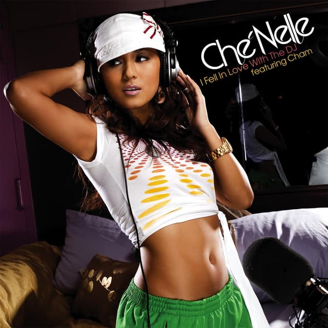 Album cover art for I Fell in Love With the DJ
