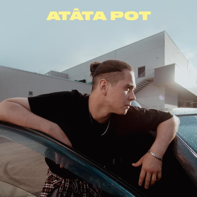 Album cover art for Atâta Pot