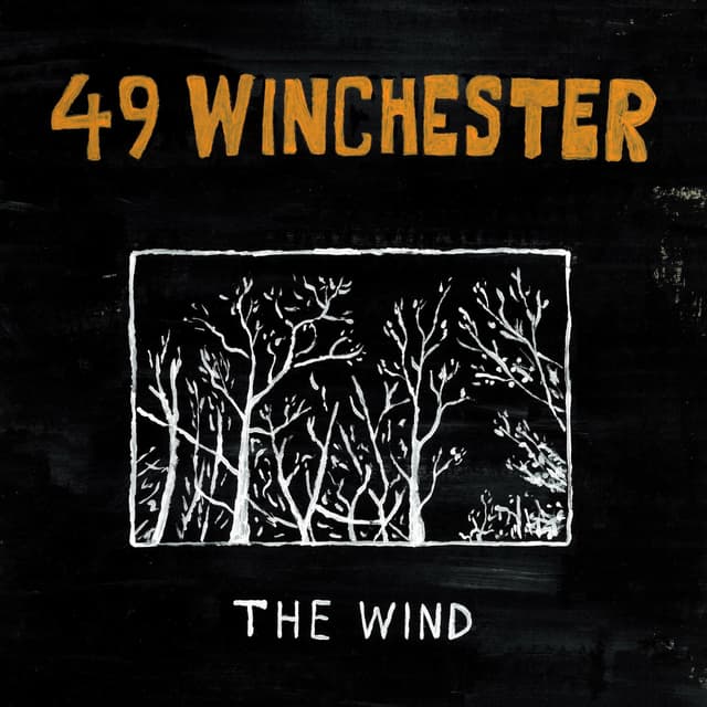 Album cover art for The Wind