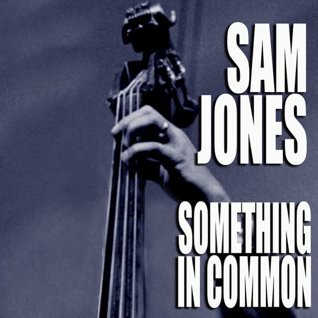 Album cover art for Something In Common