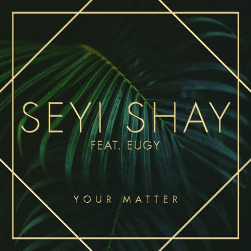 Album cover art for Your Matter
