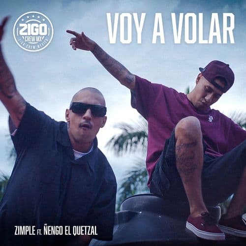 Album cover art for Voy a Volar