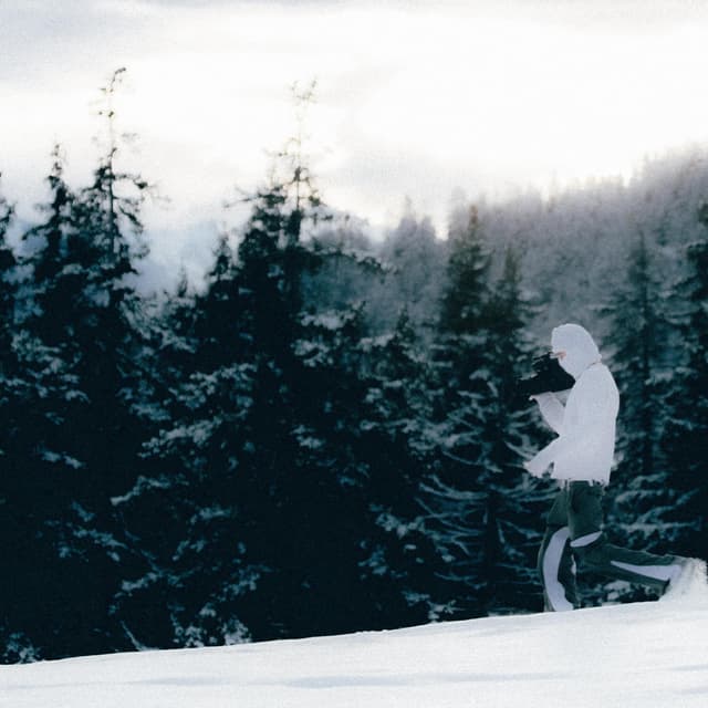 Album cover art for En attendant l'hiver