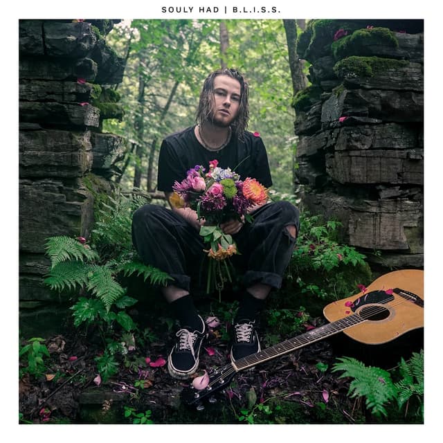 Album cover art for B.L.I.S.S.