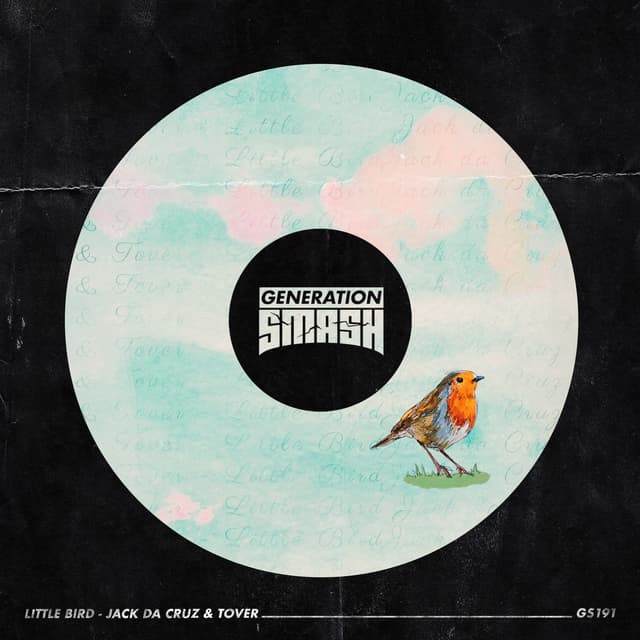 Album cover art for Little Bird
