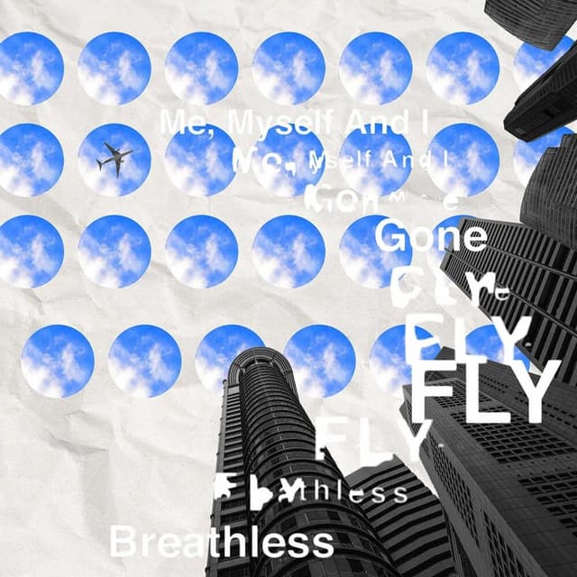 Album cover art for FLY