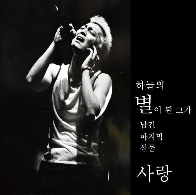 Album cover art for 사랑