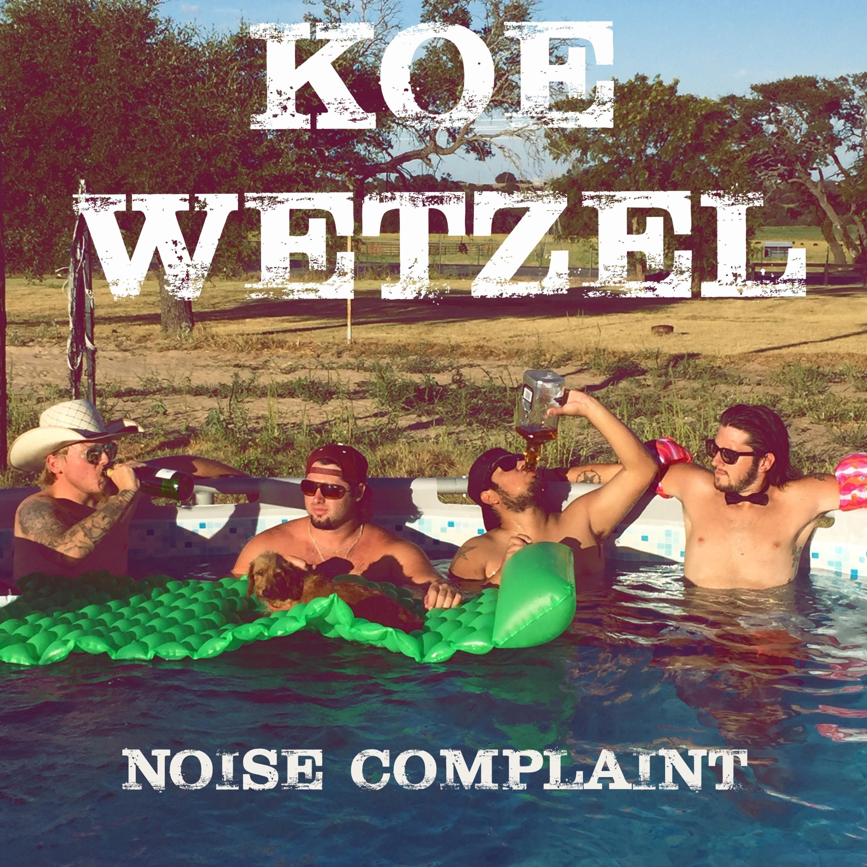 Noise Complaint