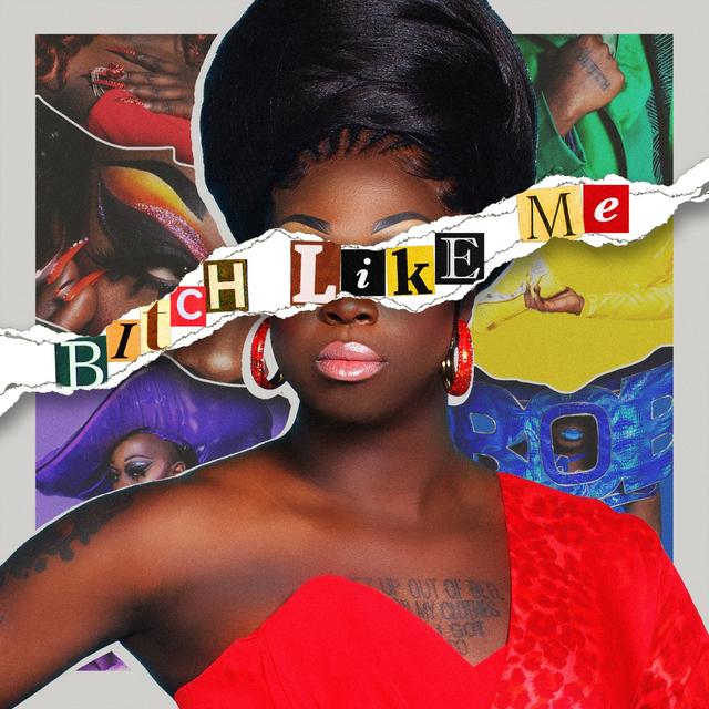 Album cover art for Bitch Like Me