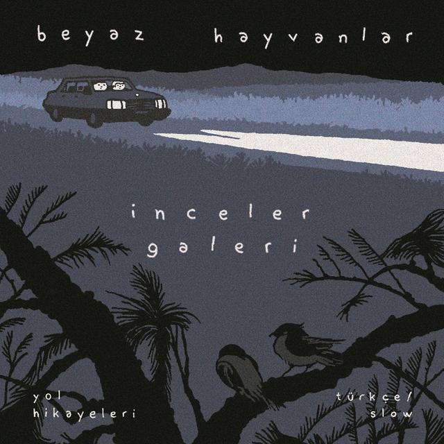 Album cover art for İnceler Galeri