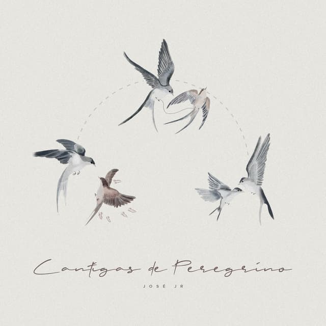 Album cover art for Cantigas de Peregrino