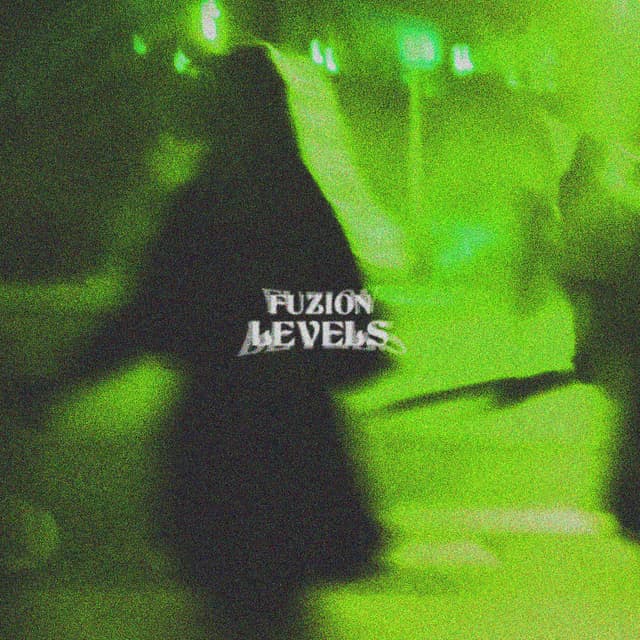 Album cover art for LEVELS