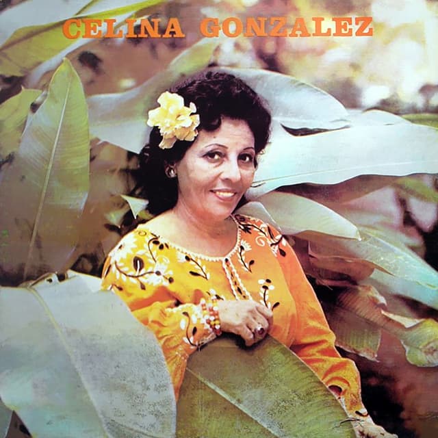 Album cover art for Yo Soy El Punto Cubano
