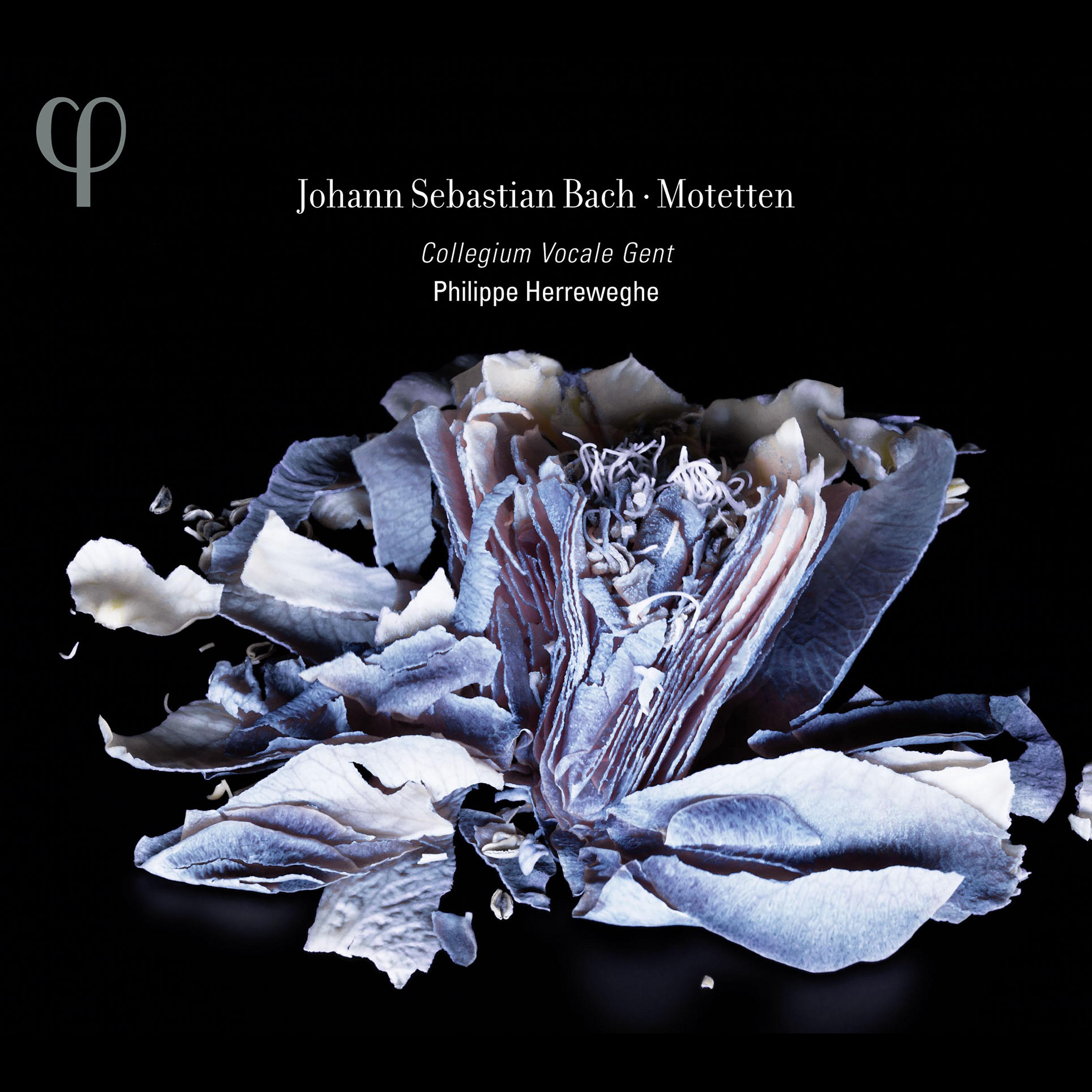 Bach : Motets