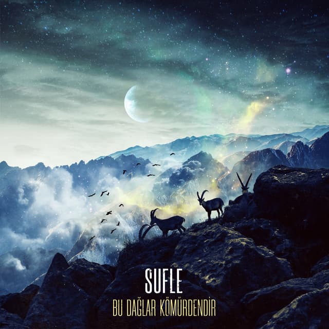 Album cover art for Bu Dağlar Kömürdendir